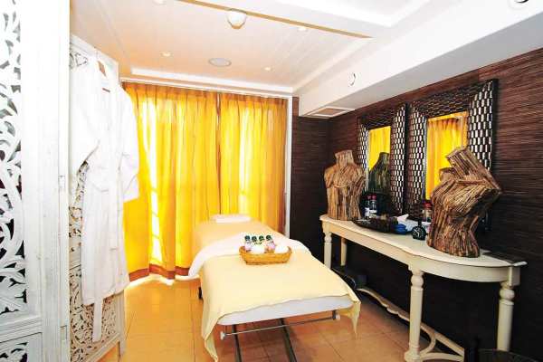 AmaLyra Gallery Image